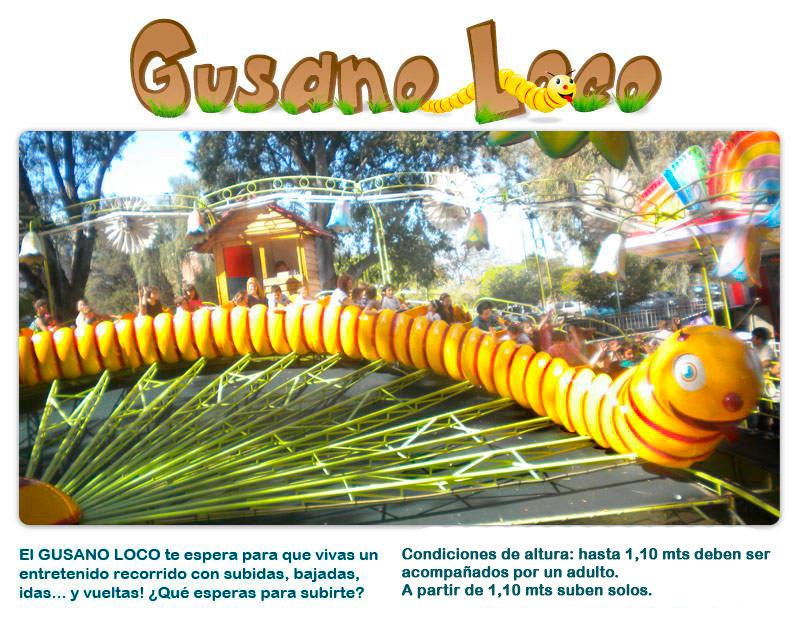 gusano loco